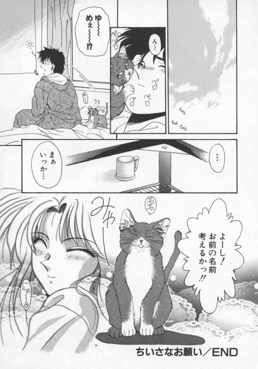 【エロ漫画】猫を拾った青年にお礼にセックスしちゃうお姉さん…ご奉仕フェラをして生ハメ中出しイチャラブセックスしちゃう【雅舞罹-L：ちいさなお願い】