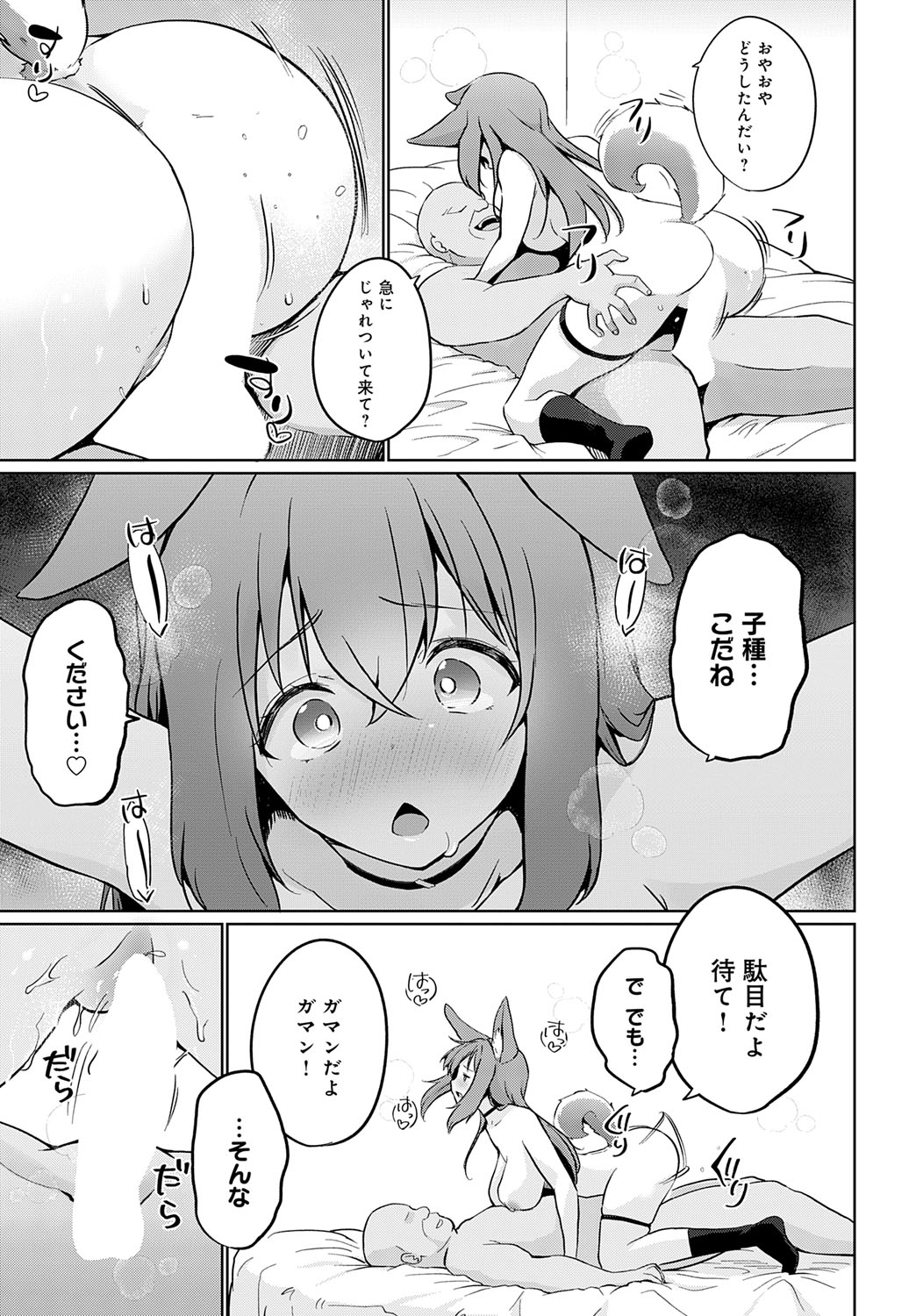 【エロ漫画】種付け懇願しちゃう獣耳のお姉さん…ご奉仕フェラをして生ハメ中出しいちゃラブセックスしちゃう【かいづか：こーびしようよ】