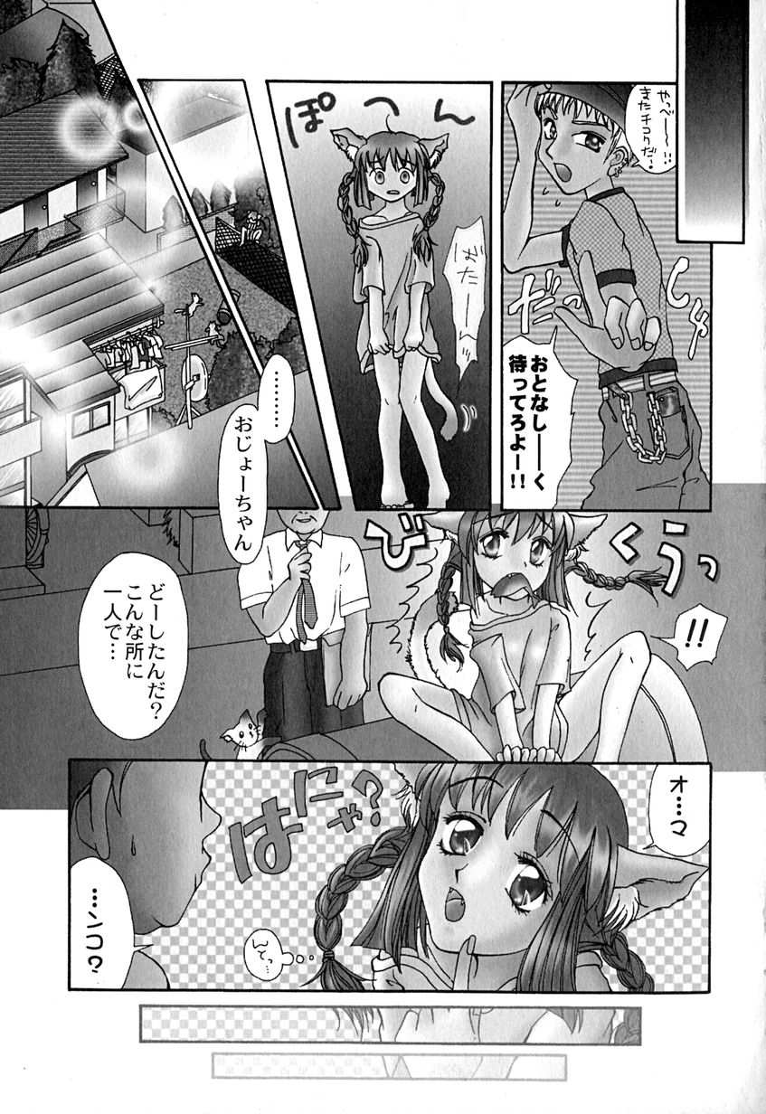 【エロ漫画】ご主人さまにご奉仕しちゃう猫耳お姉さん…フェラをして生ハメ中出しいちゃラブセックスしちゃう【はにいうさこ：こねこにご用心】