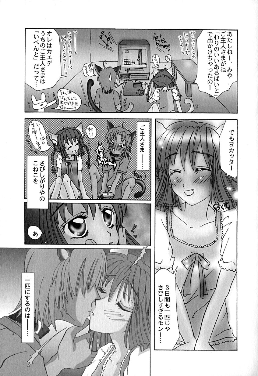 【エロ漫画】ご主人さま不在で３日間他の猫といちゃラブセックスしちゃうねこ娘…騎乗位やバックで生ハメ中出しセックスしちゃう【はにいうさこ：こねこにご用心】