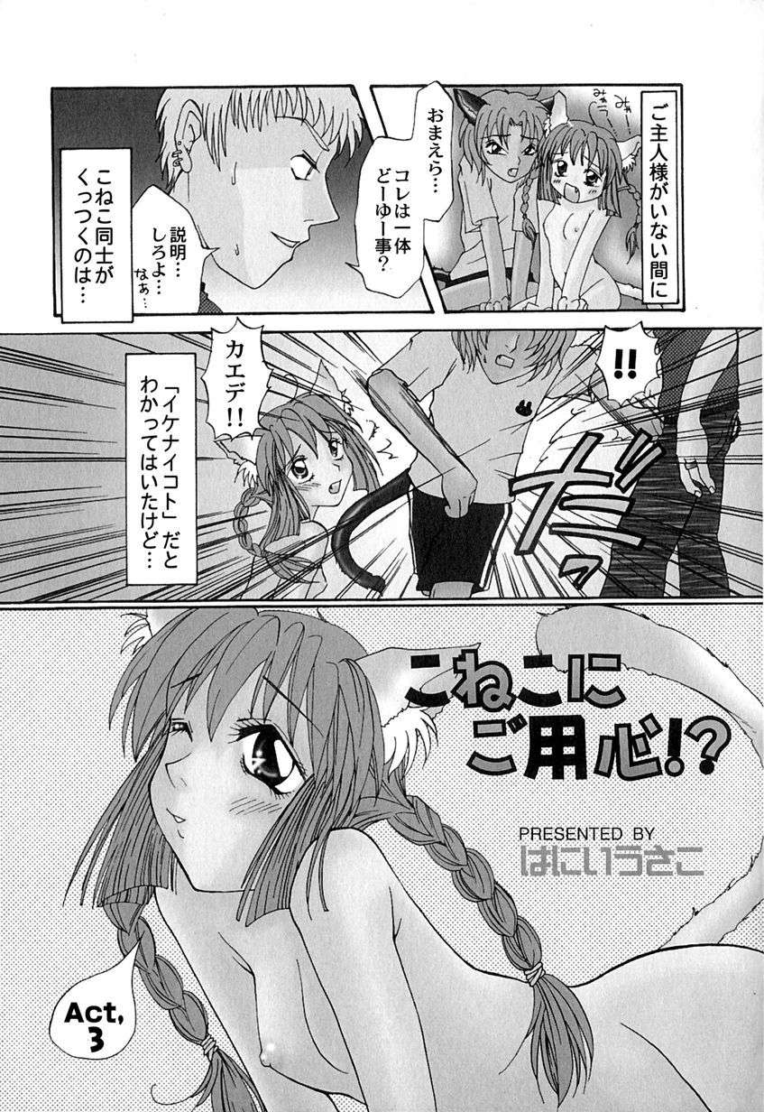 【エロ漫画】3日ぶりの再会でペットの少年とイチャラブセックスしちゃう主人のお姉さん…フェラや騎乗位で生ハメ中出しイチャラブセックスしちゃう【はにいうさこ：こねこにご用心！？】