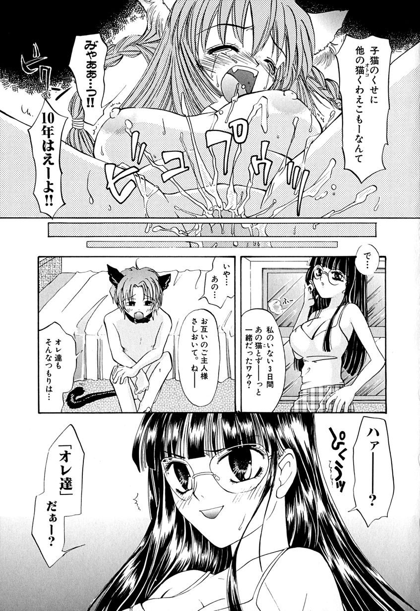 【エロ漫画】調教されちゃう猫耳お姉さん…騎乗位で生ハメ中出しイチャラブセックスで絶頂アクメ堕ちしちゃう【はにいうさこ：こねこに Act.4 ご用心!?】