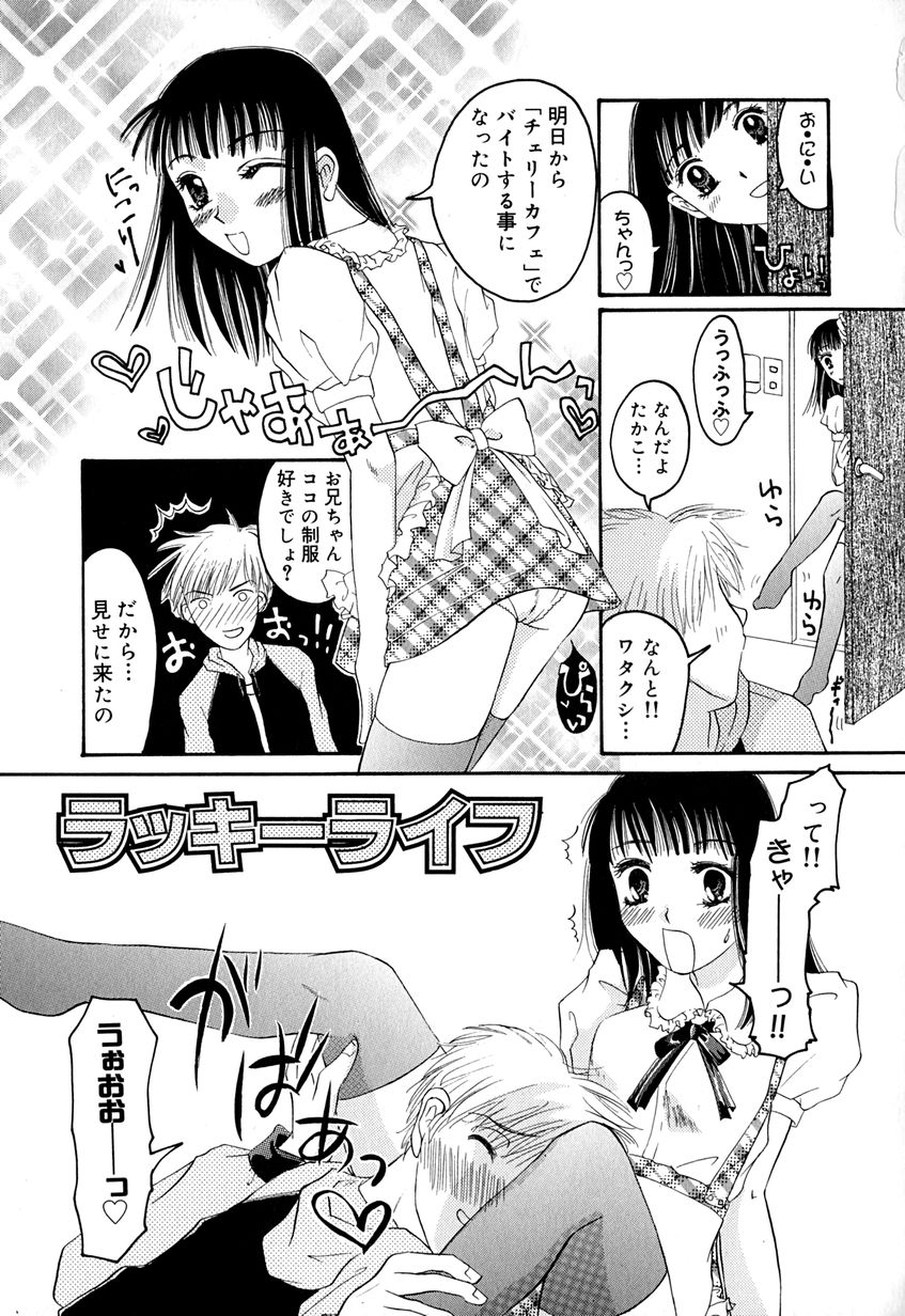 【エロ漫画】ウェイトレスの制服姿に興奮しちゃうお兄さんに甘えられエッチしちゃう妹…そのまま騎乗位で生ハメ中出し近親相姦セックスしちゃう【はにいうさこ:ラッキーライフ】