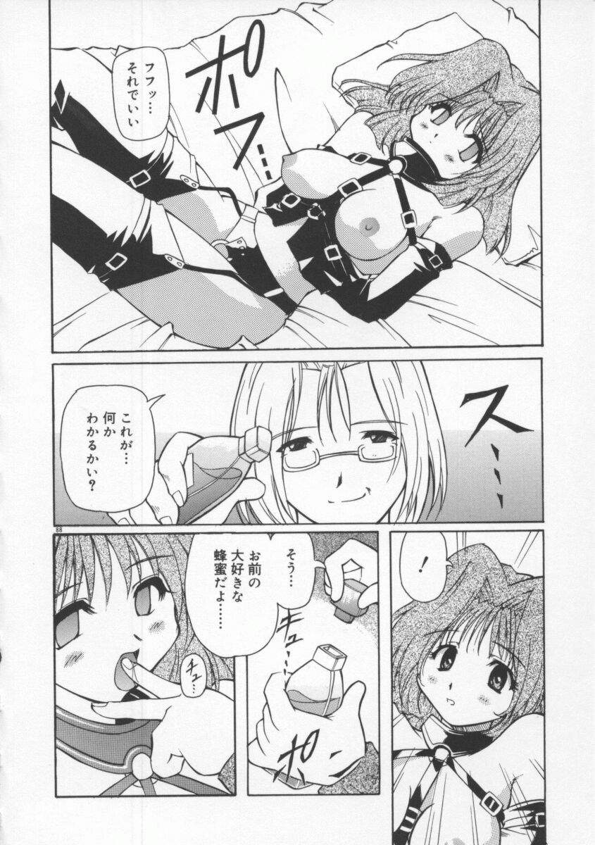 【エロ漫画】緊縛プレイで調教されちゃうお姉さん…はちみつを塗られ生ハメ中出しセックスで絶頂イキしちゃう【やすいひろさと：玩弄】