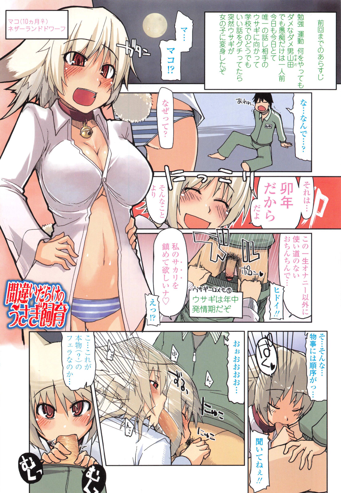発情期のうさぎ娘…月に向かって願いごとをいう男と生ハメ中出しイチャラブセックスしちゃう