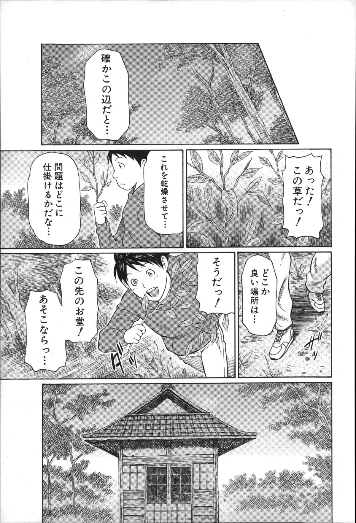 【エロ漫画】田舎に古民家を喫茶店に改装した巨乳美女…彼女に初恋をした少年が、村に伝わる媚薬効果のある野草を使い童貞を卒業させてもらう！【タカスギコウ：まぼろしの道草】