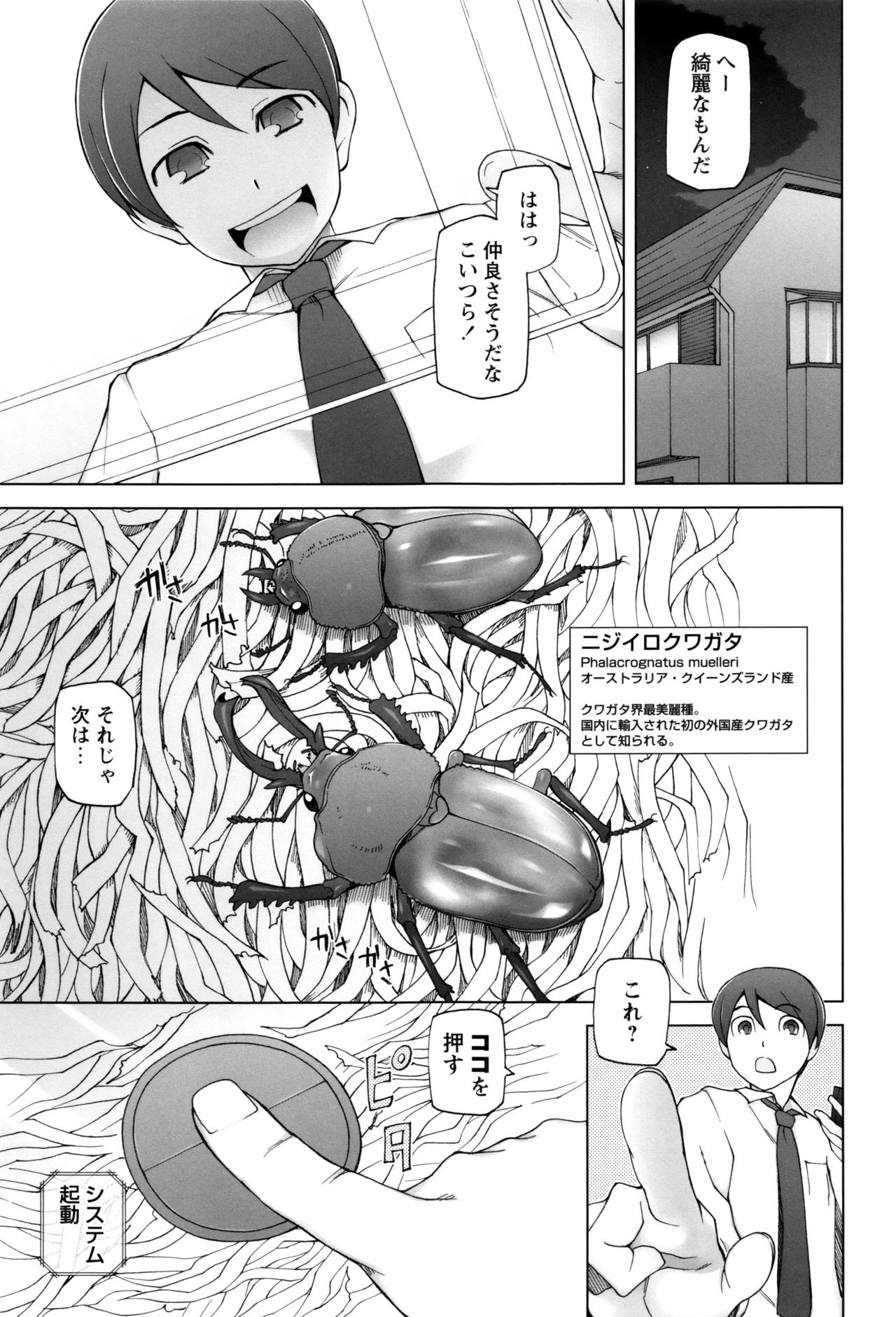 【エロ漫画】繁殖したクワガタにレイプされるサラリーマン…同僚から貰ったニジイロクワガタが繁殖して美少女になって逆レイプされて中出ししちゃう!【三糸シド氏:KUWA】