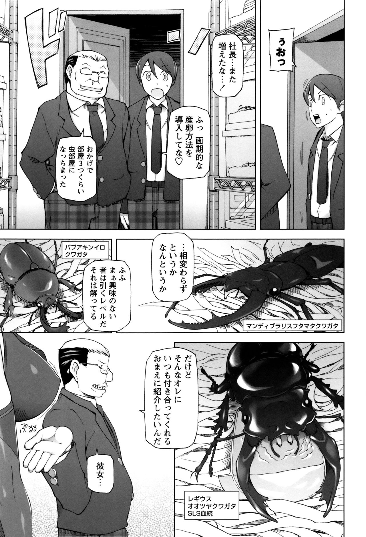 【エロ漫画】繁殖したクワガタにレイプされるサラリーマン…同僚から貰ったニジイロクワガタが繁殖して美少女になって逆レイプされて中出ししちゃう!【三糸シド氏:KUWA】