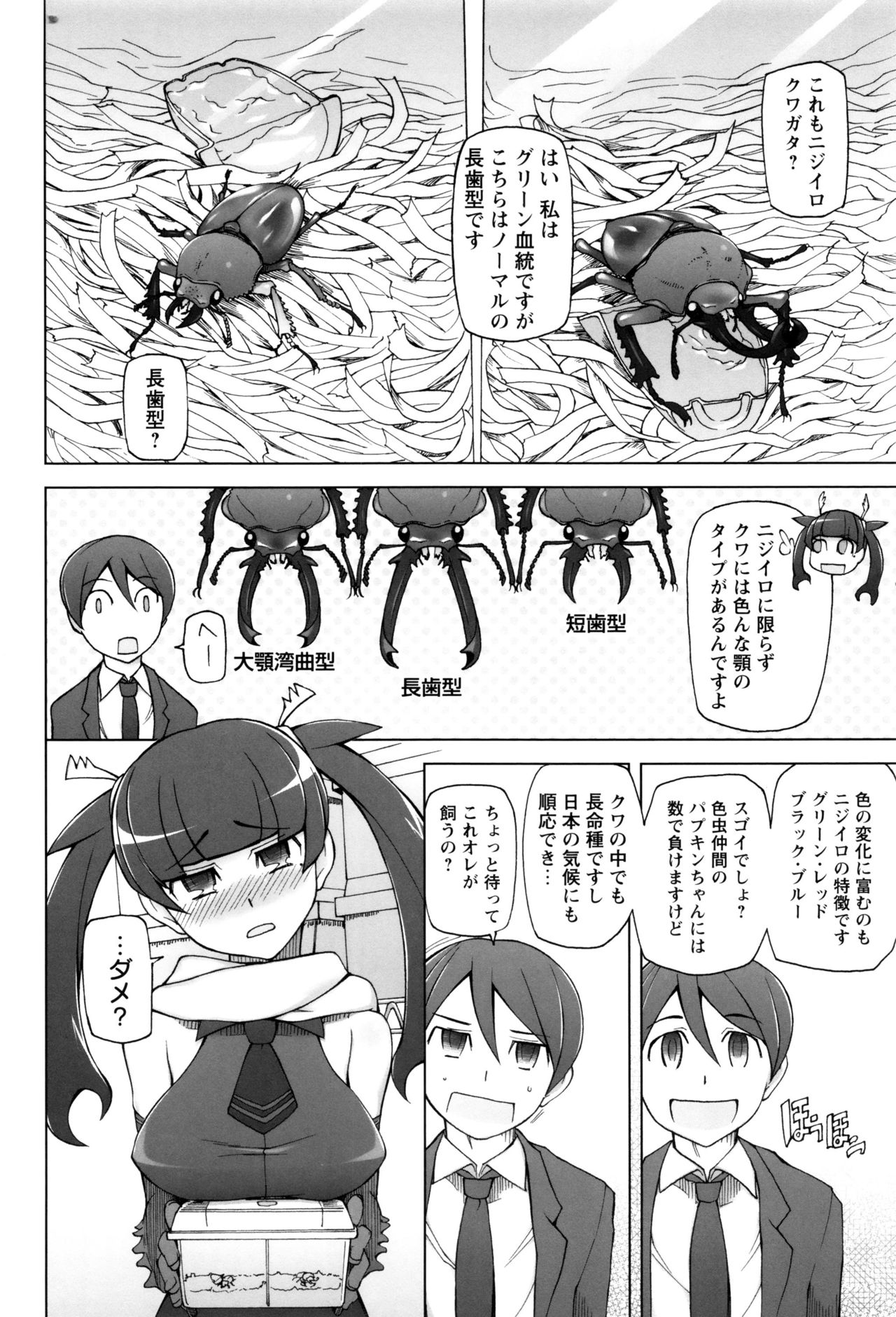 【エロ漫画】繁殖したクワガタにレイプされるサラリーマン…同僚から貰ったニジイロクワガタが繁殖して美少女になって逆レイプされて中出ししちゃう!【三糸シド氏:KUWA】